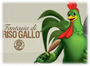 Composit Riso Gallo www.fantasiadirisogallo.it