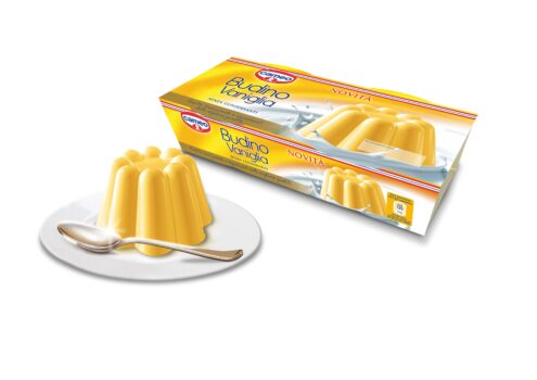 cameo dessert della tradizione - BUDINO vaniglia - piatto 300 dpi - Sapori News 