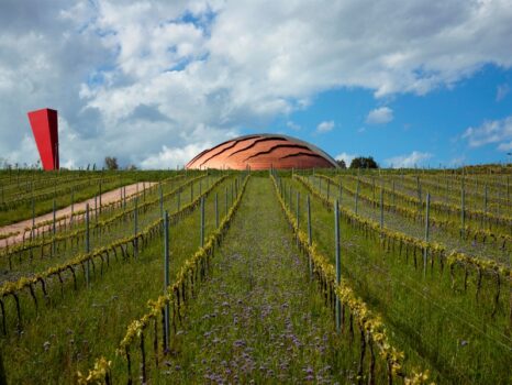 Il Carapace della Tenuta Castelbuono conquista il premio Unesco "La fabbrica nel paesaggio" - Sapori News 