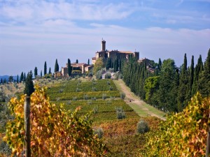 Poggio alle Mura: La Ricerca dell’Eccellenza