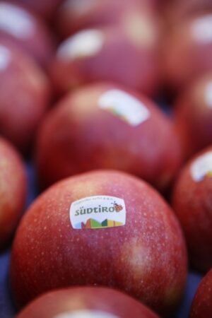 Il sapore della qualita' nelle degustazioni di mela Alto Adige igp e speck Alto Adige igp - Sapori News Il Magazine Dedicato al Mondo del Food a 360 Gradi