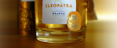 Cleopatra Moscato oro prezioso distillato firmato poli - Sapori News 
