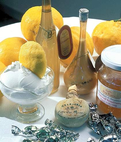 Scopri il bergamotto di Reggio Calabria DOP, un agrume raro e prezioso usato in profumeria, gastronomia e farmaceutica.