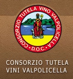 Anteprima Amarone: il Consorzio per la Tutela dei Vini Valpolicella presenta l'annata 2009 - Sapori News 