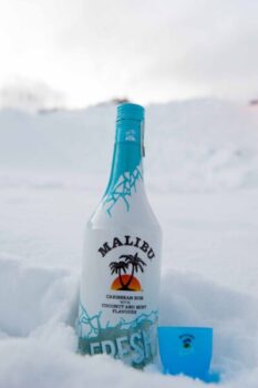 Da Pernod Ricard il nuovo Malibu Fresh - Sapori News 