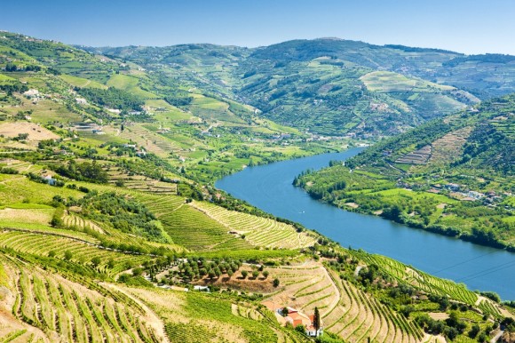 Best wine travel destinations proposte da Opodo per degustare i migliori vini del mondo - Sapori News 