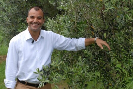 Impariamo a conoscere l’olio extravergine di oliva - Sapori News 