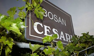 È l’Amarone Bosan l’ambasciatore Gerardo Cesari a Vinitaly
