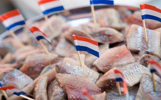 5 giugno al via la stagione dell’aringa olandese - Sapori News Il Magazine Dedicato al Mondo del Food a 360 Gradi