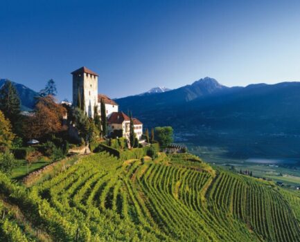In Alto Adige tavola rotonda sull'impatto dei mutamenti climatici sulla viticoltura - Sapori News 