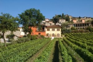 Lantieri spumanti in Franciacorta - Sapori News 