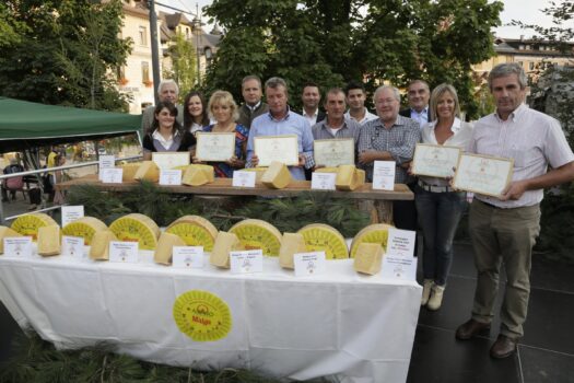 Assegnato il primo premio del “Concorso per il miglior formaggio Asiago DOP Vecchio e Stravecchio di Malga” - Sapori News 