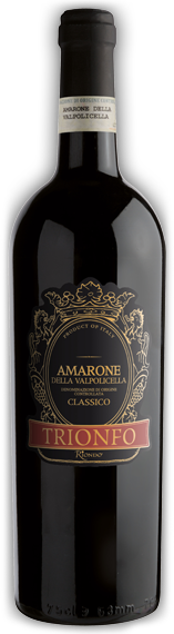 AMARONE DELLA VALPOLICELLA 2008: Il 2013 con importanti premi