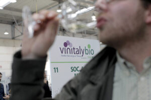 Vinitalybio e Vivit, i saloni del vino naturale a Vinitaly 2015 - Sapori News 