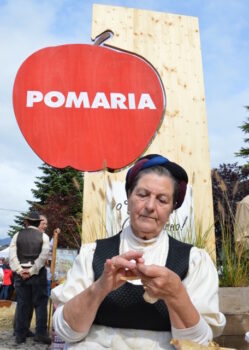 Pomaria: la festa delle mele e delle eccellenze gastronomiche - Sapori News 