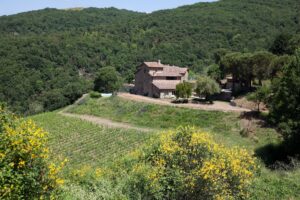 Chianti Classico Collection 2016 - MONTEMAGGIO - Sapori News 
