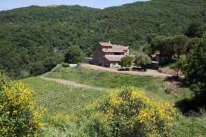 Chianti Classico Collection 2016 - MONTEMAGGIO - Sapori News 