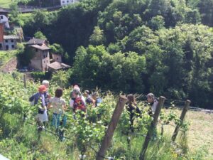 Wekeend speciali di Maggio in Trentino con Gemme di Gusto