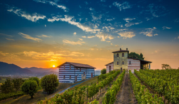 È da Berlucchi il più invitante inizio d’estate in Franciacorta - Sapori News 