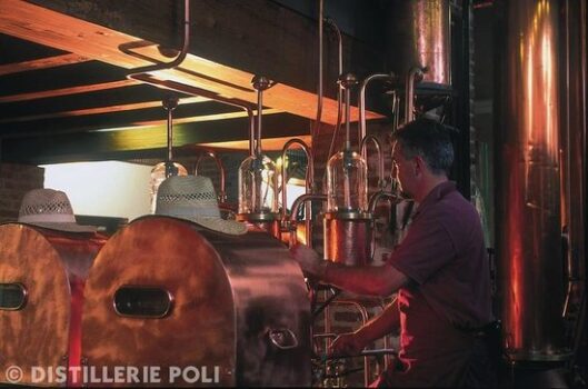 poli-distillerie - Sapori News 