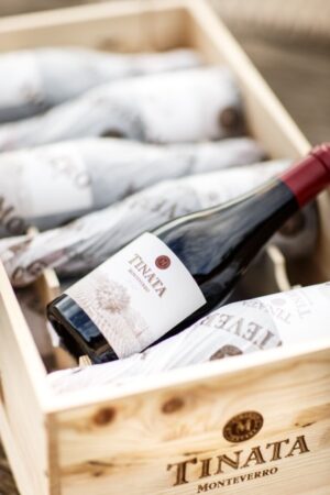 MINI è BELLO: Quando nella bottiglia c'è il vino buono - Sapori News 