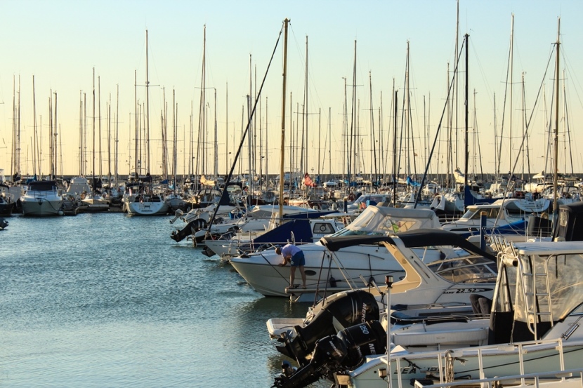 Ad Ancona torna Tipicità in blu - Sapori News 