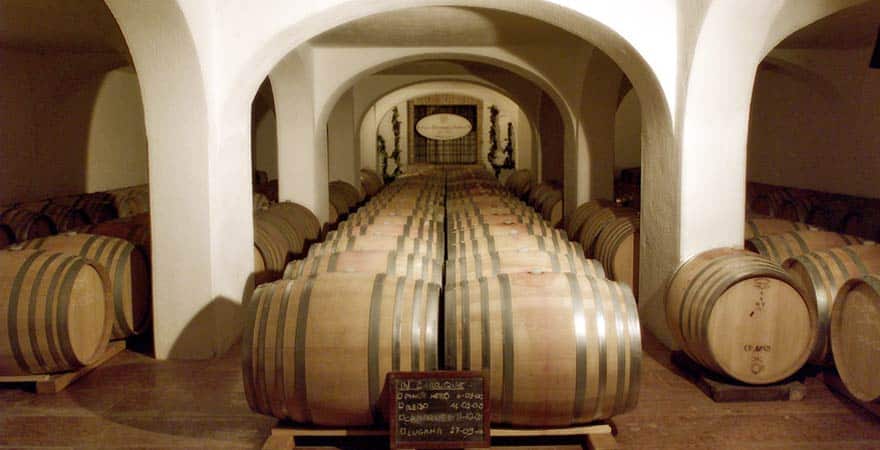 Pluripremiato il vino che nasce sulle rive del Lago Di Garda nella cantina Avanzi - Sapori News 