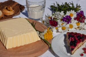 Sfiziosi picnic a km0 nel gruppo delle pale di San Martino