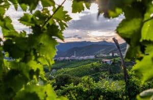 La nuova linea Spumanti Italiani di Valdo esordisce con Falanghina e Passerina