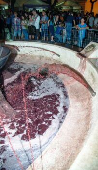 4-vino-getto-rosso-carosino - Sapori News 