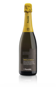 La Ribolla Gialla Brut Folchir si aggiudica il primo premio al Concorso "Festival della Ribolla Gialla e del Sauvignon Blanc" - Sapori News 