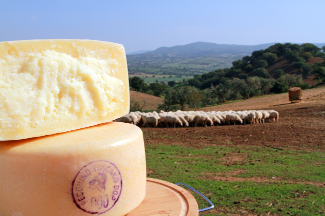 Pecorino Toscano DOP e Finocchiona IGP al Food Expo 2016 in Vietnam - Sapori News 