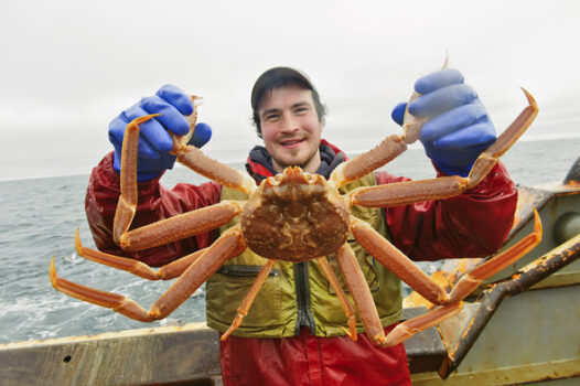 pescatore di king crab - Sapori News 