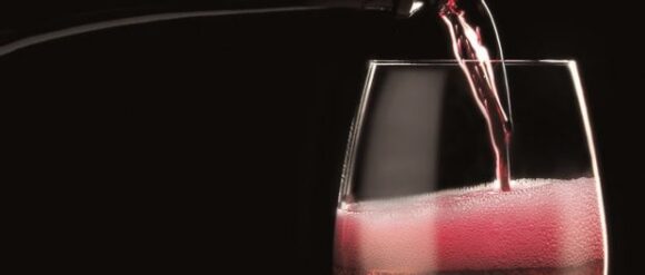 Lambrusco Mio, tra degustazioni e visite guidate per  celebrare il vino piu' bevuto in Italia - Sapori News 