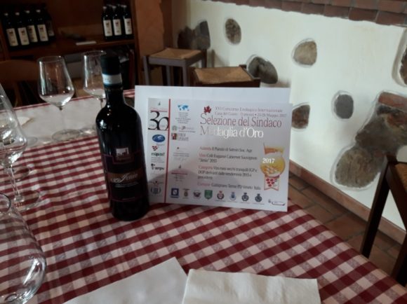 Il Pianzio produce vino vulcanico che parla dei Colli Euganei - Sapori News 