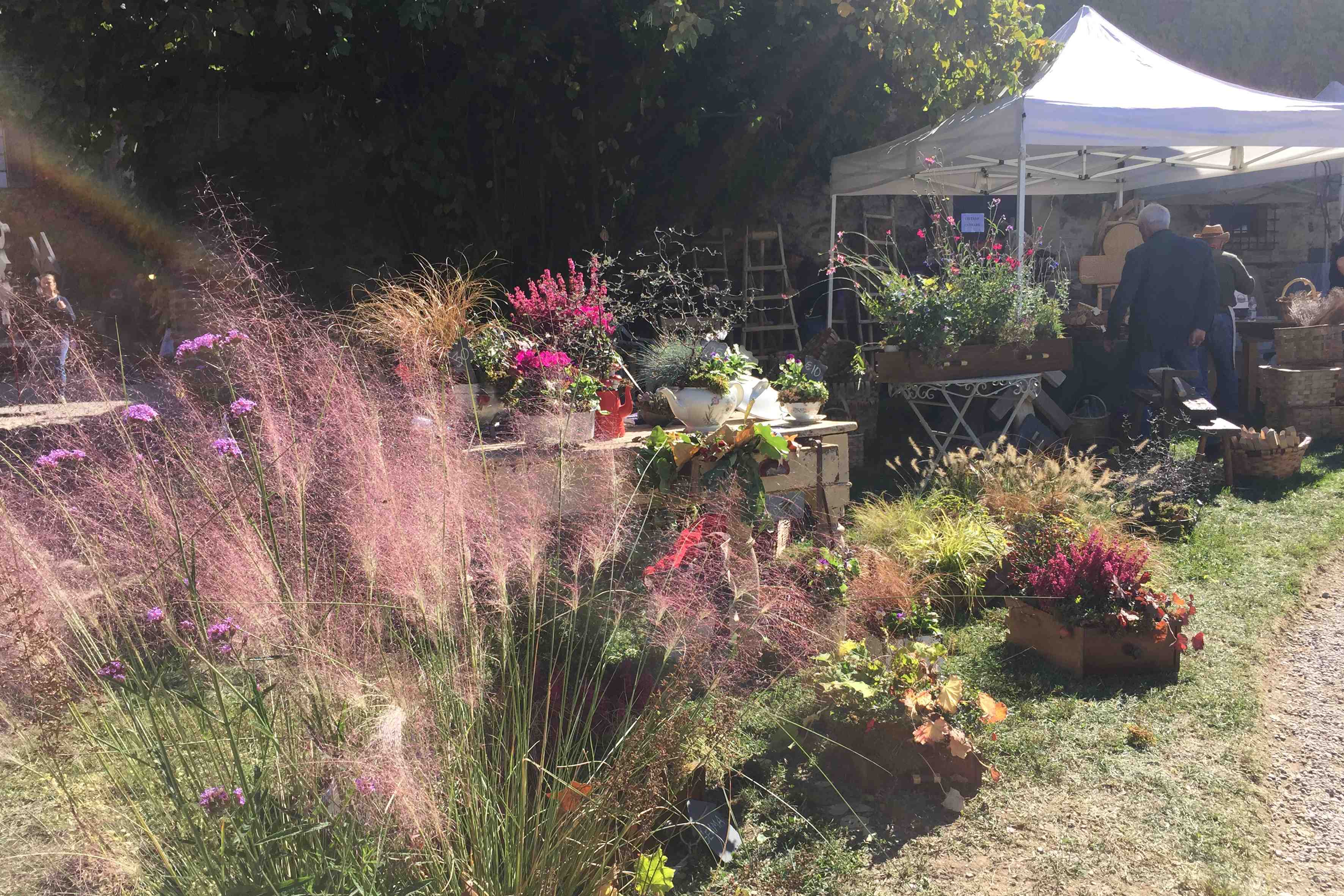 Al Castello di Paderna si è svolto Frutti Antichi, una manifestazione che celebra la biodiversità - Sapori News 