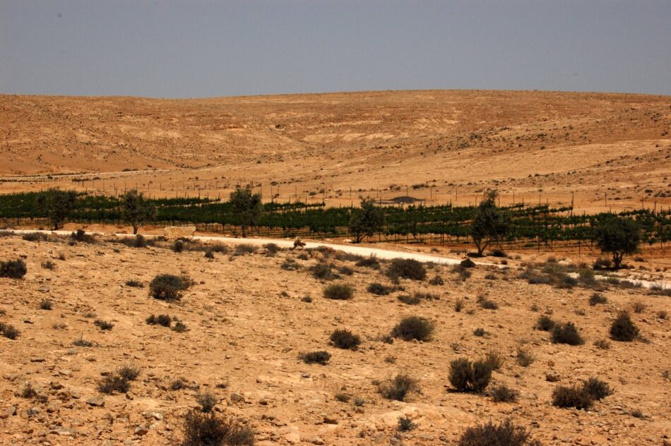 Aaron  Fait uno scienziato prestato all'agricoltura israelita - Sapori News 