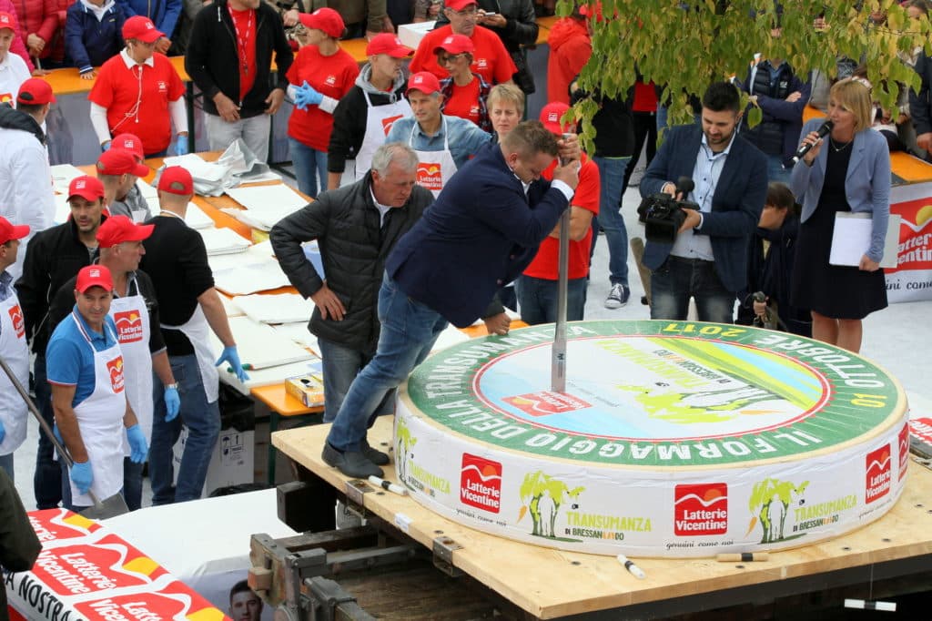 Conclusa la quinta edizione della Grande Festa di Latterie Vicentine col taglio  della Forma Gigante del Formaggio della Transumanza - Sapori News 