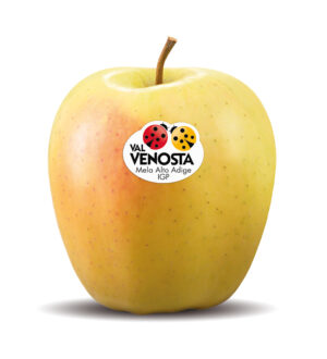 Golden Delicious Val Venosta, la mela che regala benessere! - Sapori News 