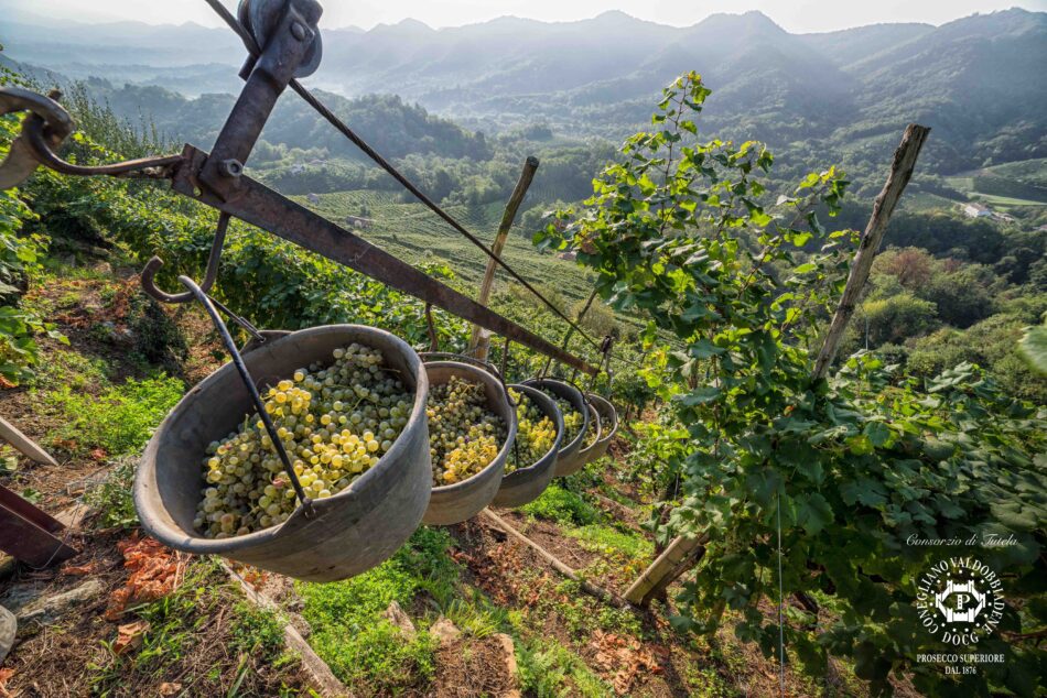 Il Conegliano Valdobbiadene Prosecco Superiore DOCG e un’originale degustazione in musica - Sapori News 