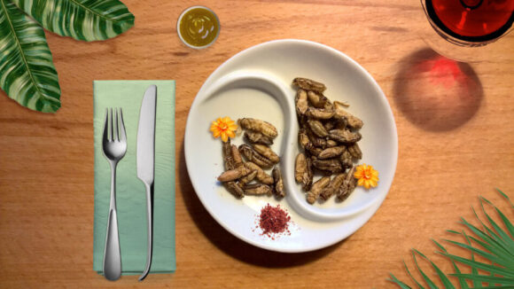 Novel food: anche i foodie non sono pronti agli insetti sulle tavole dei ristoranti - Sapori News 