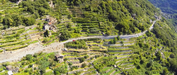 In Valle d'Aosta per sciare, ma anche per gustare ottimi vini! - Sapori News 