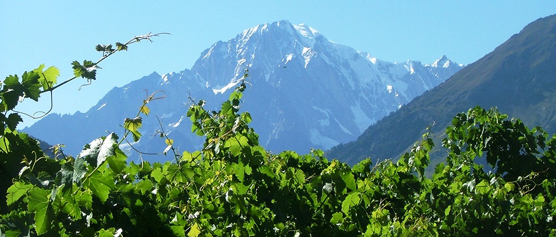 In Valle d'Aosta per sciare, ma anche per gustare ottimi vini! - Sapori News 