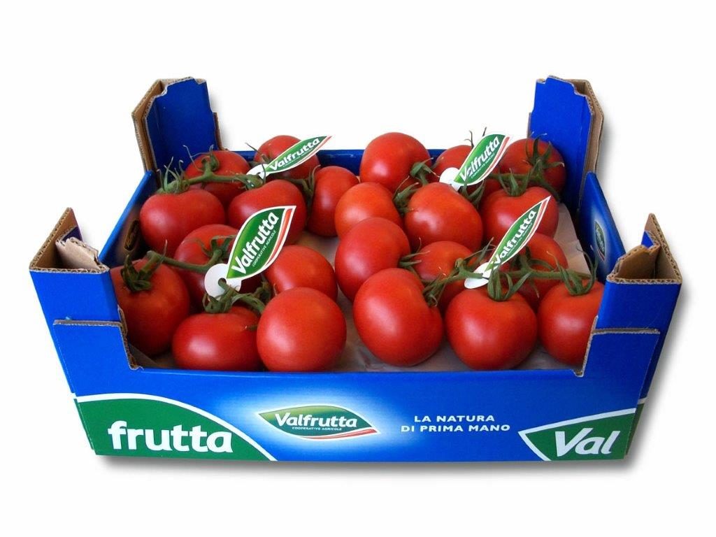 Le novità del Gruppo Alegra a Fruit Logistica 2018 - Sapori News 