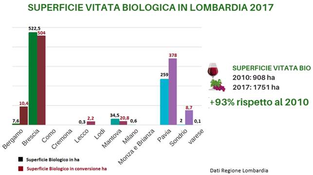 Il Padiglione Lombardia al Vinitaly si tinge di green - Sapori News 