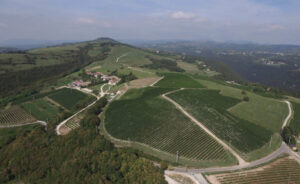 Nasce il Wine Retreat Ca' Del Moro de La Collina dei Ciliegi