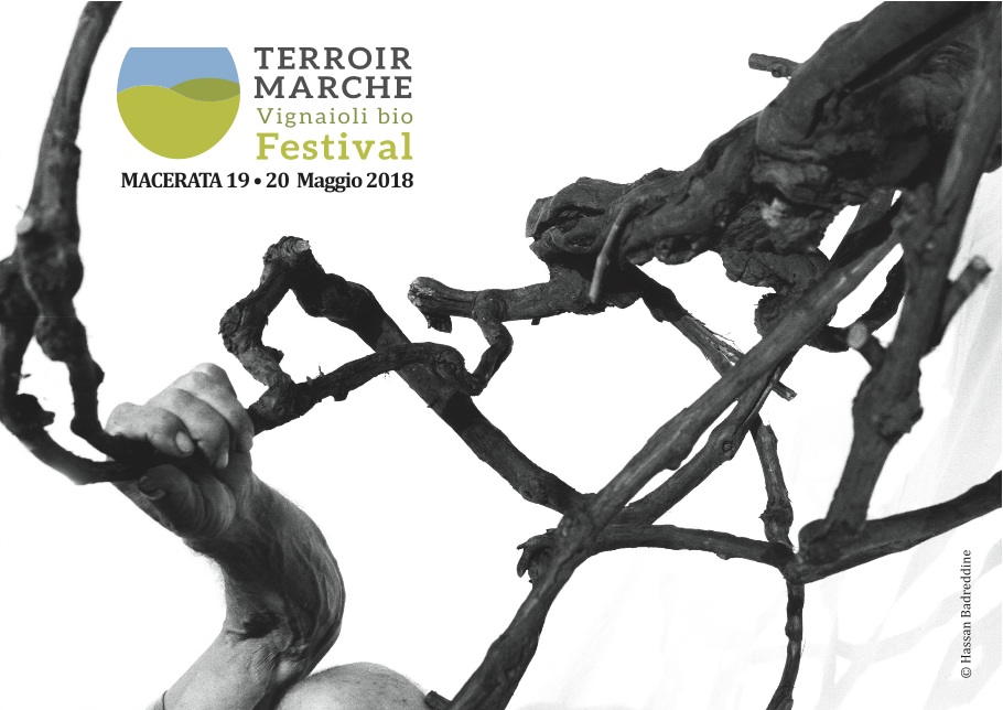 A Macerata torna  Terroir Marche Festival - Sapori News 
