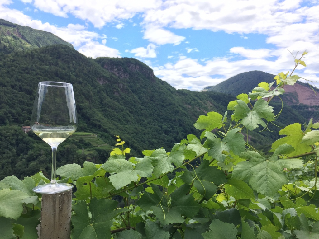 31° edizione della rassegna müller thurgau: vino di montagna