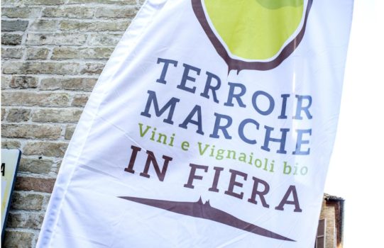 A Macerata torna  Terroir Marche Festival - Sapori News 