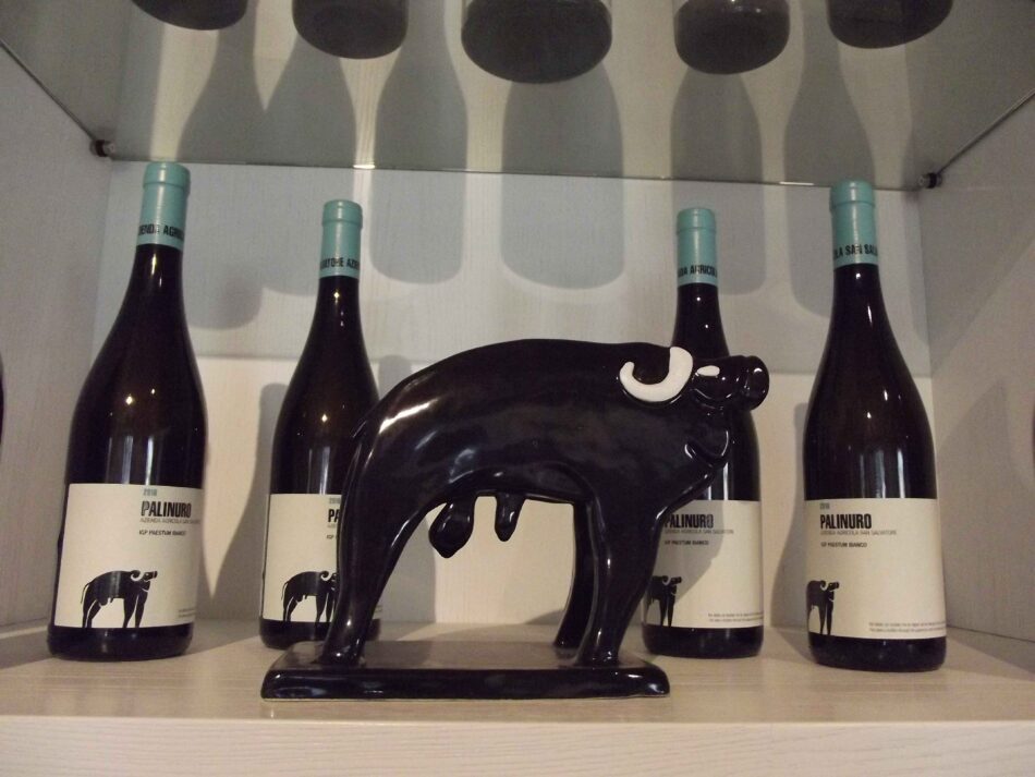Giuseppe Pagano, l’imprenditore che scoprì Paestum ! - Sapori News Il Magazine Dedicato al Mondo del Food a 360 Gradi Giuseppe Pagano, l’imprenditore che scoprì Paestum ! - Sapori News